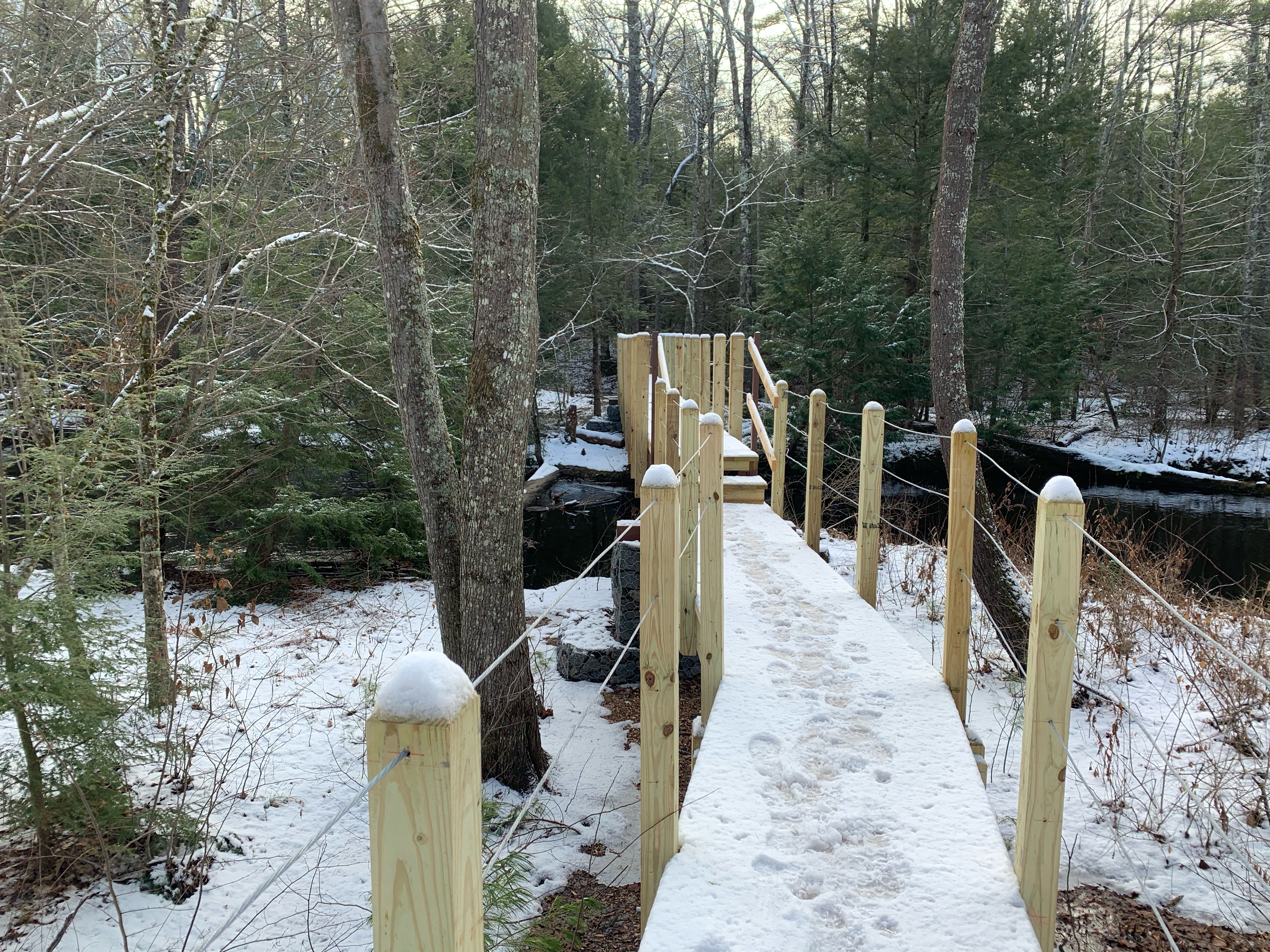Winter Footbridge